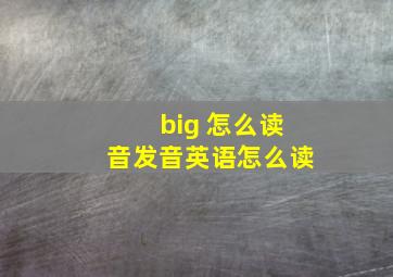 big 怎么读音发音英语怎么读